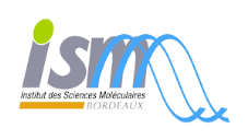 Logo ISM